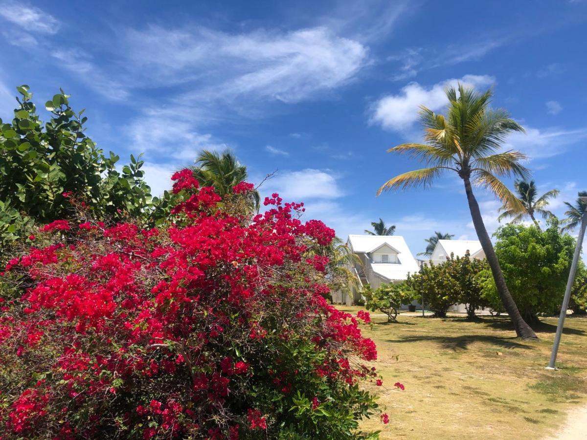 Sweet Home Sxm Baie Nettle Pieds Dans L'Eau Sandy Ground エクステリア 写真