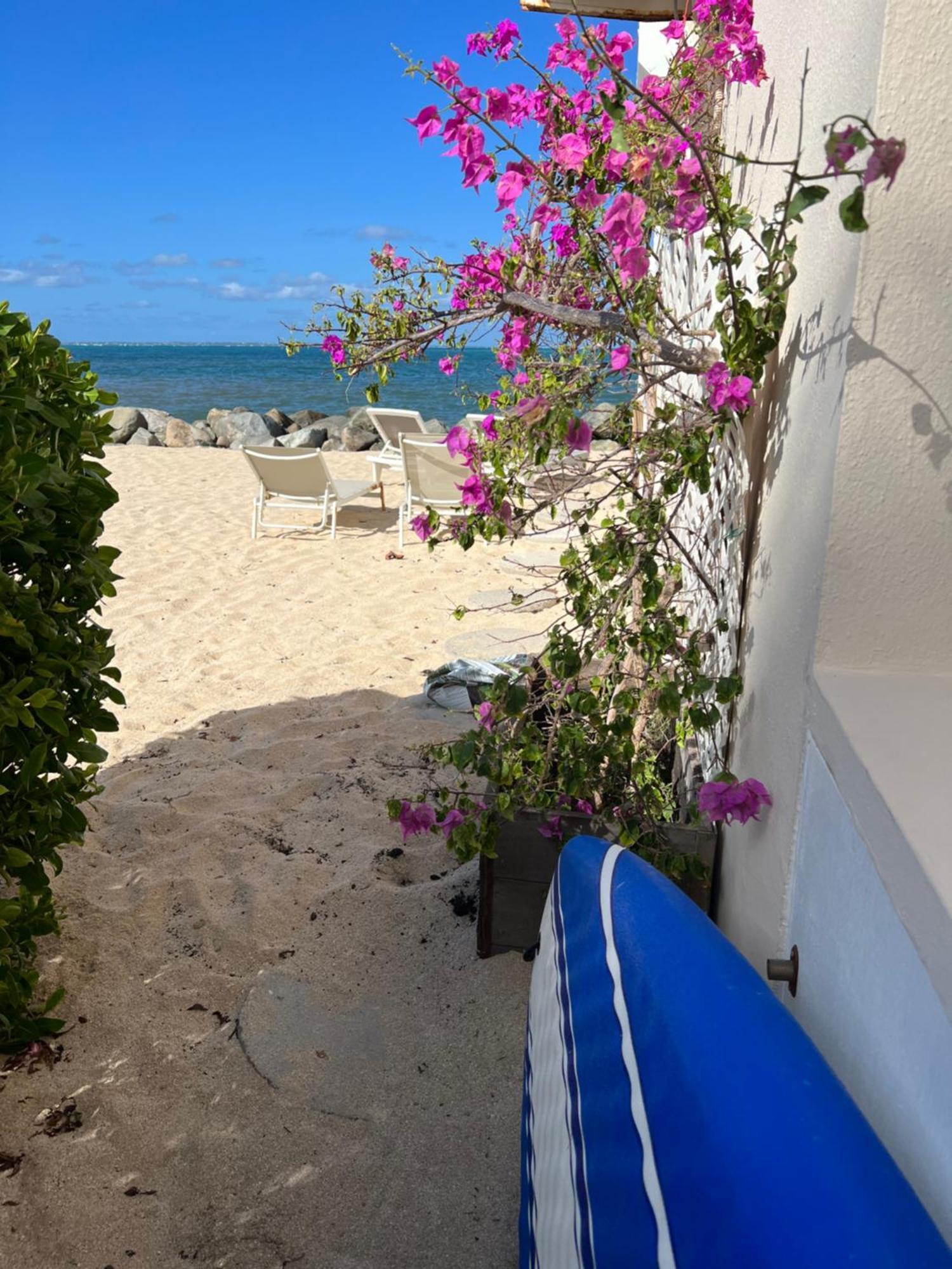 Sweet Home Sxm Baie Nettle Pieds Dans L'Eau Sandy Ground エクステリア 写真